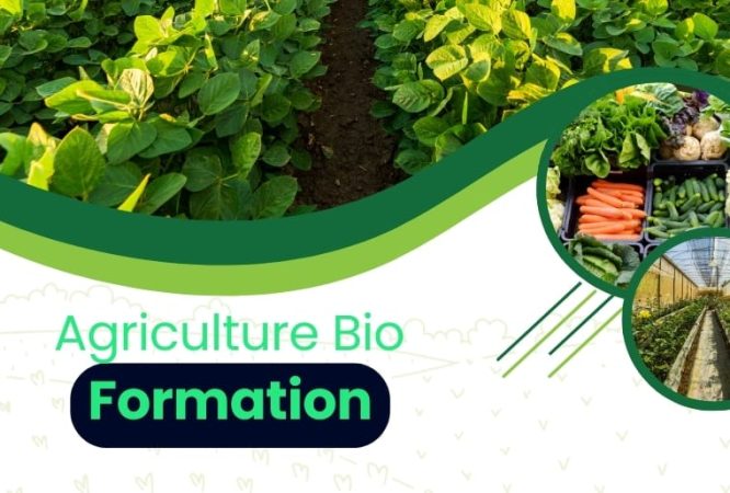 formation_agriculture_bion
